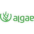 Mediterranean Algae